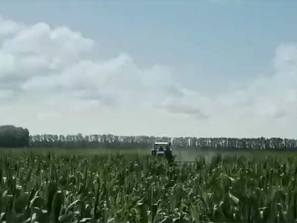 玉米地高地隙自走式喷杆喷雾机作业视频